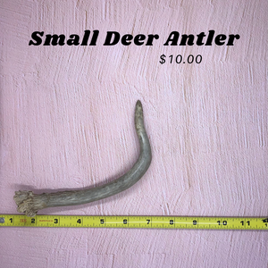 Small Deer Antlers