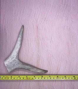 Medium Deer Antlers