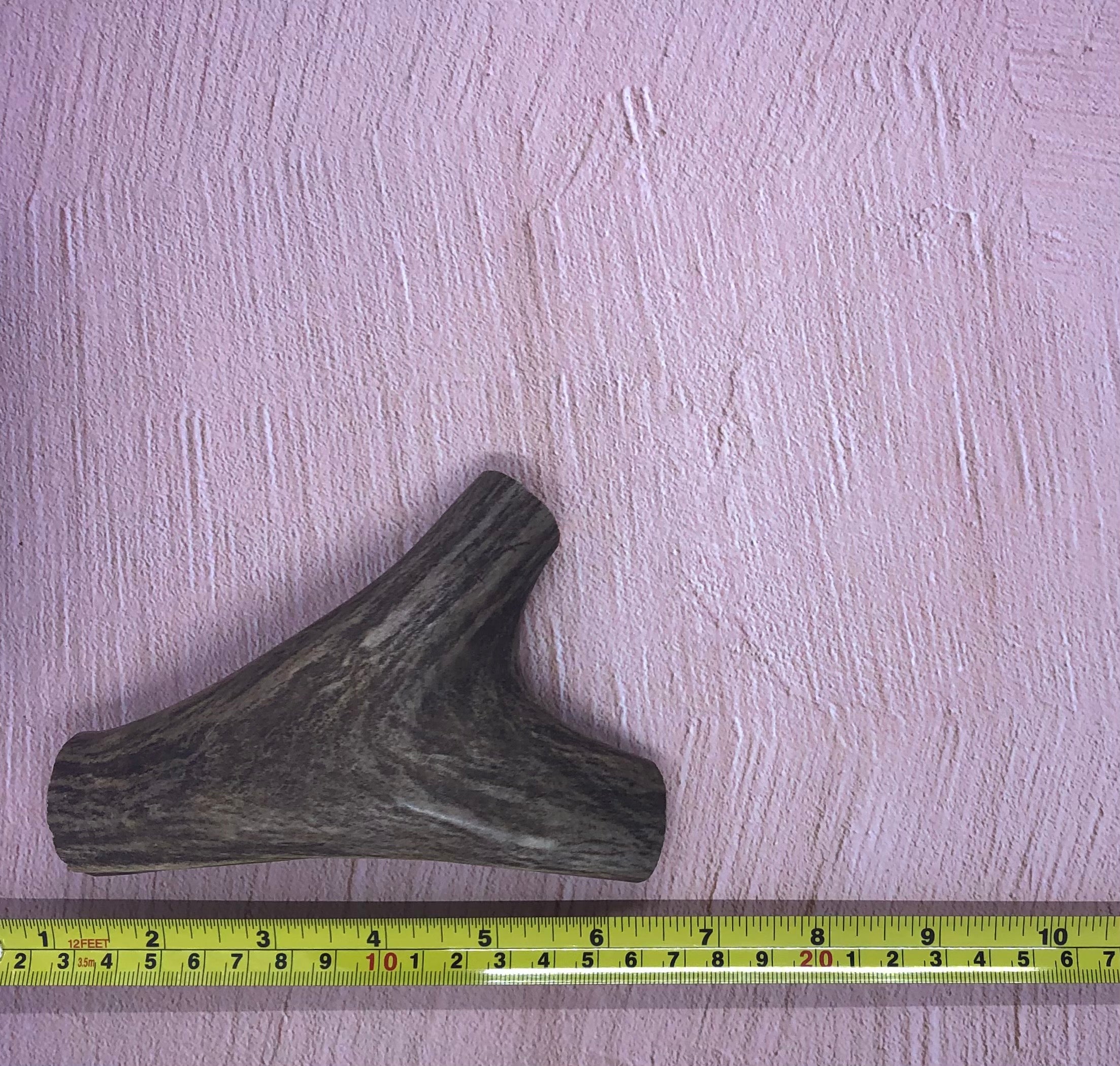 Medium Deer Antlers