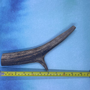 Large Deer Antler Chews for Dogs!