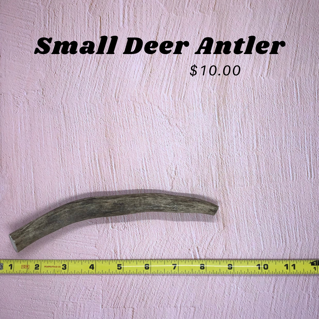 Small Deer Antlers