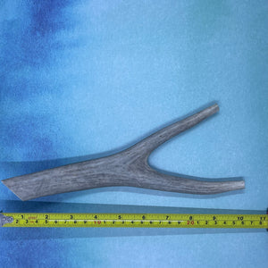Large Deer Antler Chews for Dogs!