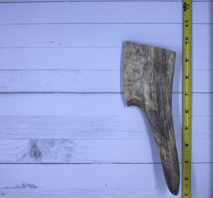 Small Whole Moose Antlers